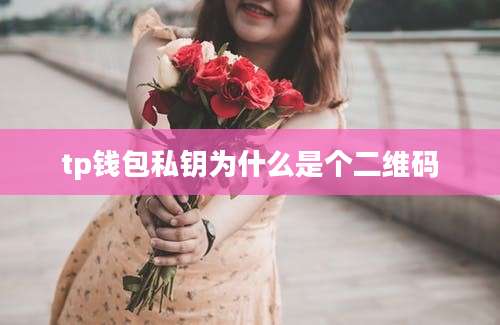tp钱包私钥为什么是个二维码