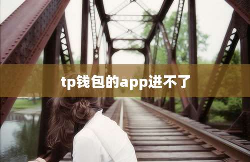 tp钱包的app进不了