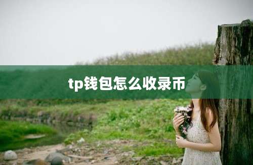tp钱包怎么收录币