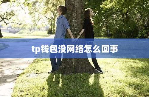 tp钱包没网络怎么回事