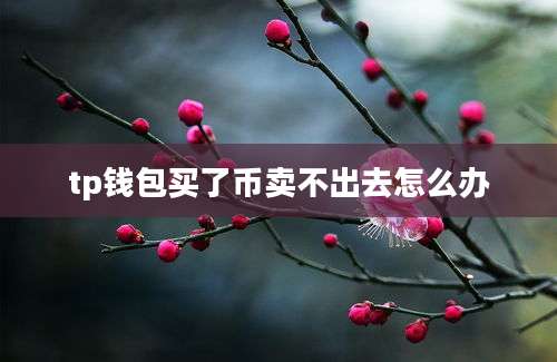 tp钱包买了币卖不出去怎么办