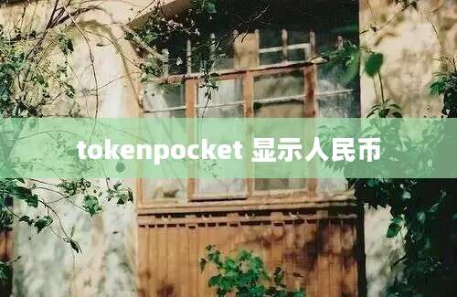 tokenpocket 显示人民币