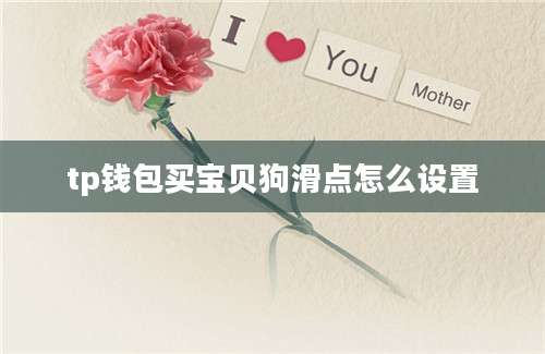 tp钱包买宝贝狗滑点怎么设置