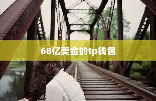 68亿美金的tp钱包