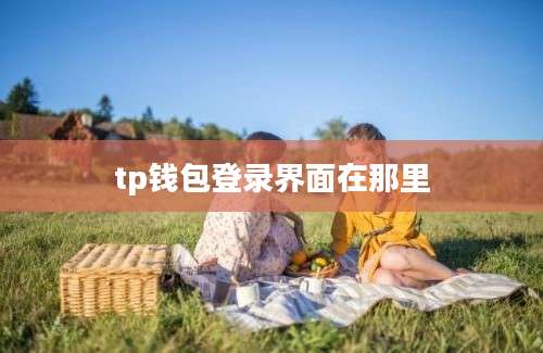 tp钱包登录界面在那里