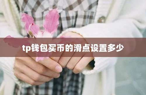 tp钱包买币的滑点设置多少