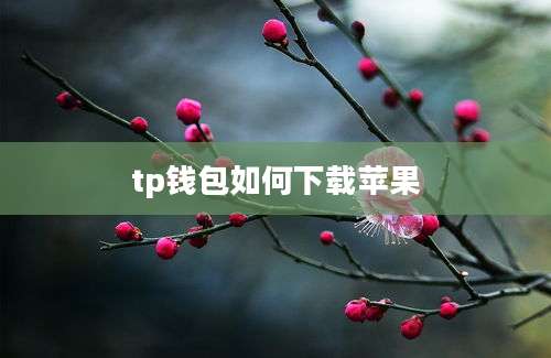 tp钱包如何下载苹果