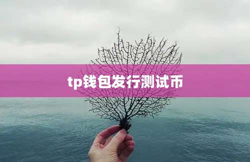 tp钱包发行测试币