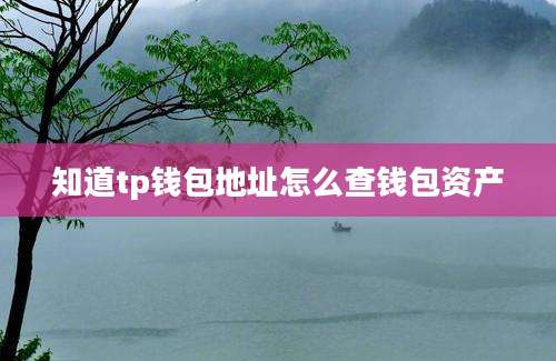 知道tp钱包地址怎么查钱包资产