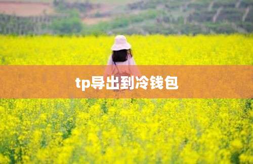 tp导出到冷钱包