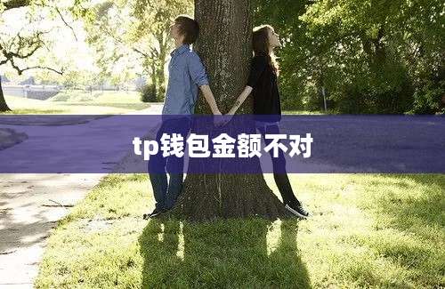 tp钱包金额不对