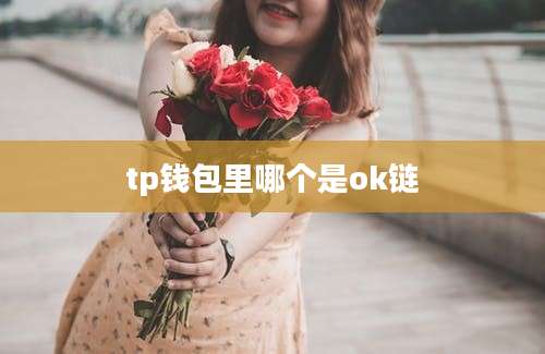 tp钱包里哪个是ok链