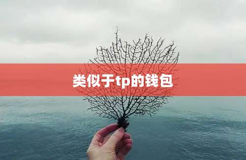 类似于tp的钱包