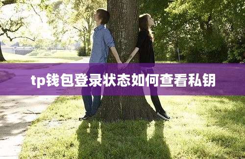 tp钱包登录状态如何查看私钥