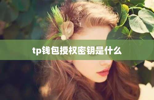 tp钱包授权密钥是什么
