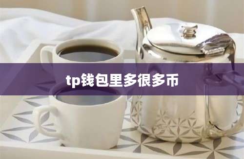 tp钱包里多很多币