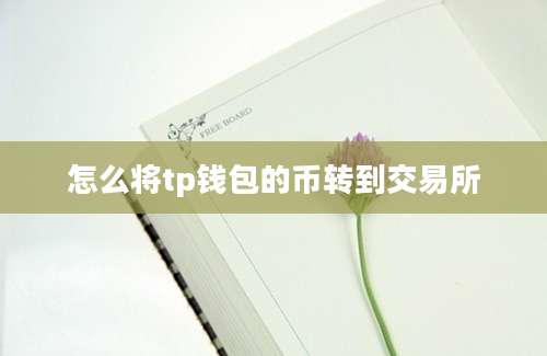 怎么将tp钱包的币转到交易所