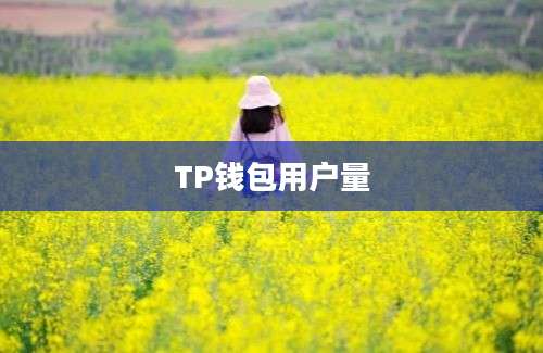 TP钱包用户量