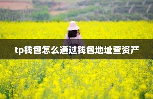 tp钱包怎么通过钱包地址查资产