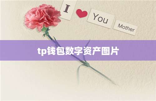 tp钱包数字资产图片