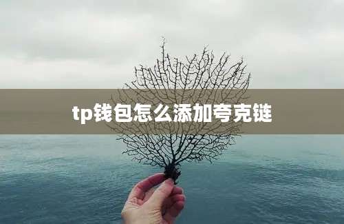 tp钱包怎么添加夸克链