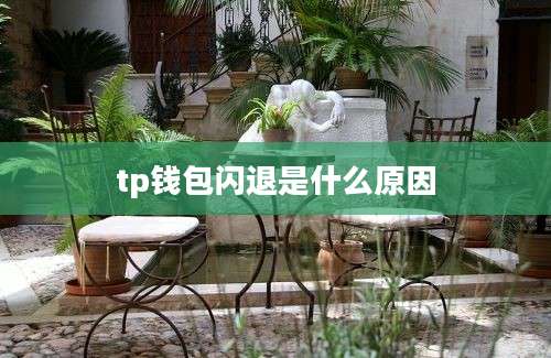 tp钱包闪退是什么原因