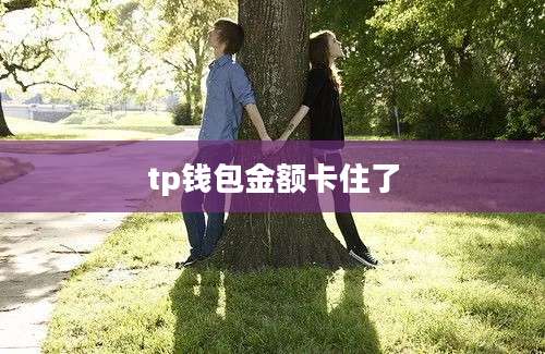 tp钱包金额卡住了