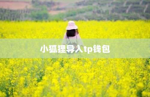 小狐狸导入tp钱包