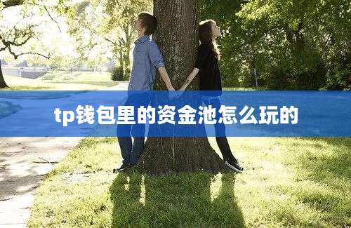 tp钱包里的资金池怎么玩的