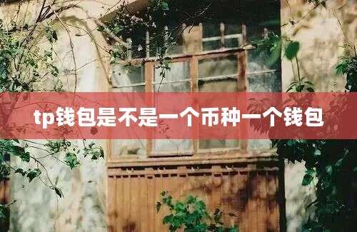tp钱包是不是一个币种一个钱包