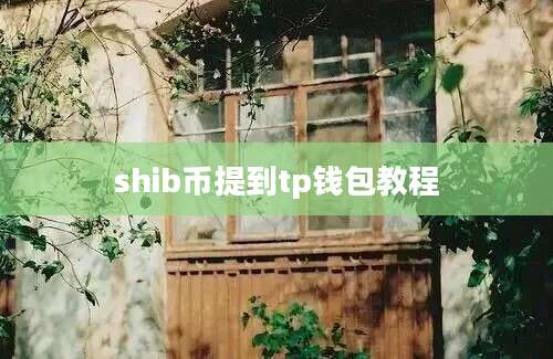 shib币提到tp钱包教程