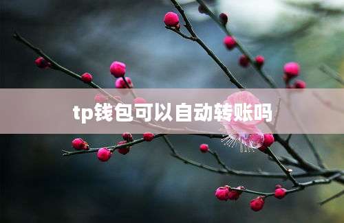 tp钱包可以自动转账吗