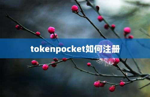 tokenpocket如何注册