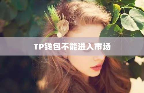 TP钱包不能进入市场
