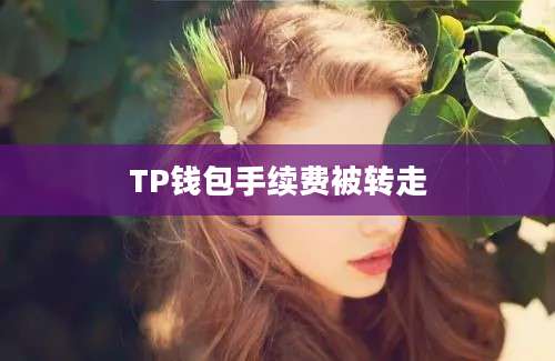 TP钱包手续费被转走