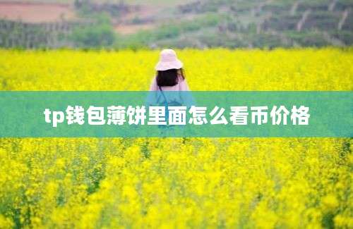 tp钱包薄饼里面怎么看币价格
