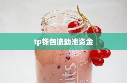 tp钱包流动池资金